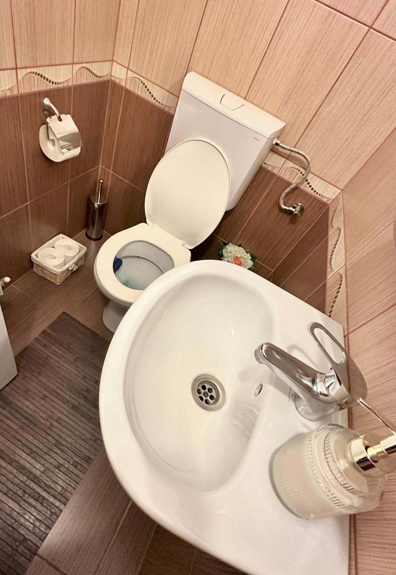 Home Central Apartment Sibiu *